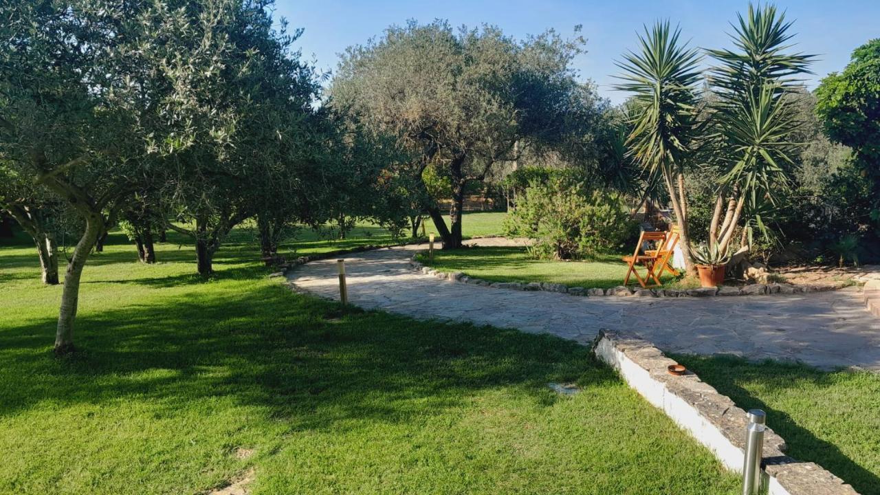 Villa Relax Tra Gli Ulivi Альгеро Екстер'єр фото